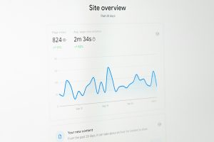 how to interpret audience demographics data in google analytics